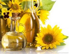 葵花籽油走俏市場，食用油灌裝機擔任新使者